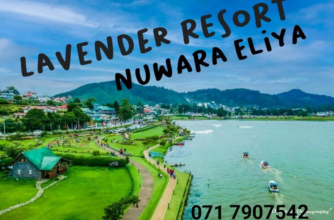Lavender Resort Νουβάρα Ελίγια Εξωτερικό φωτογραφία